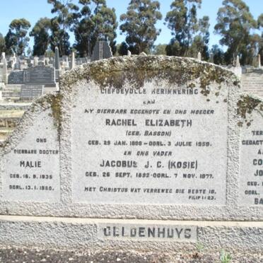 GELDENHUYS :: BASSON