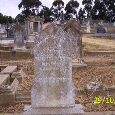 HAMMAN Johannes Nicolaas 1829-1909