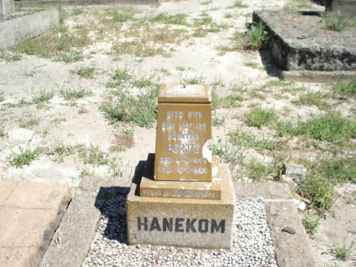 HANEKOM Bertie 1949-1952