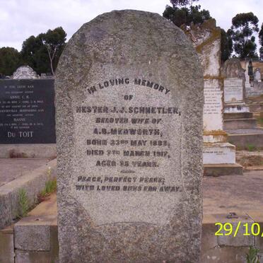 M - Surnames starting with the letter M