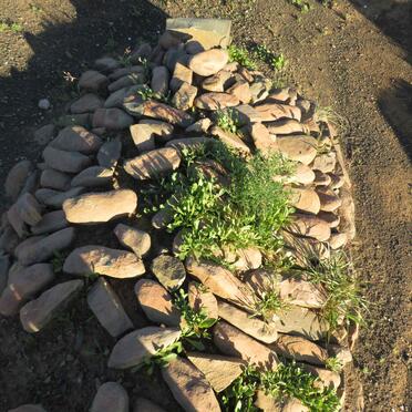 2. Unknown :: Illegible graves