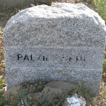 PALVIE