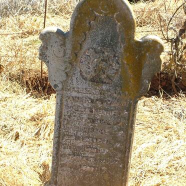 Western Cape, MOORREESBURG district, Gousblomskraal 334, Gousblomkraal, farm cemetery