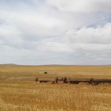 Western Cape, MOORREESBURG district, Boontjies Kraal 342_1, Anyskop, farm cemetery