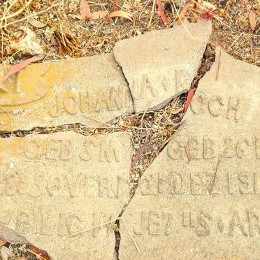 KOCH Johanna K. 1895-1919