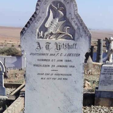 BESTER A.T. nee KITSHOFF 1880-1916