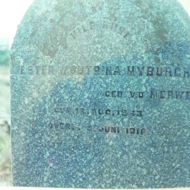 Western Cape, MOORREESBURG district, Zandfontyn 407, Groot Sandfontein farm cemetery