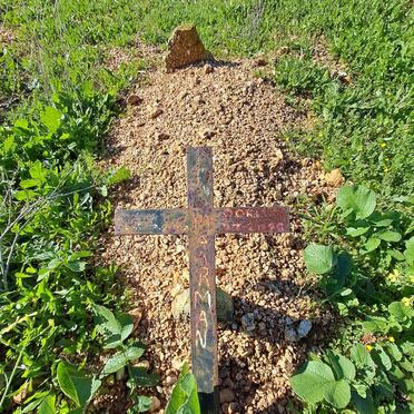 M - Surnames :: Vanne - M