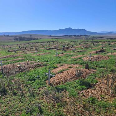 Western Cape, MOORREESBURG district, Koringberg, town cemetery