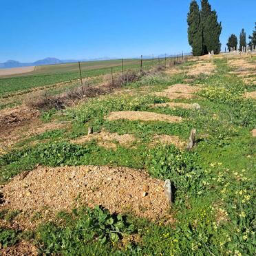 2. Oorsig / Overview