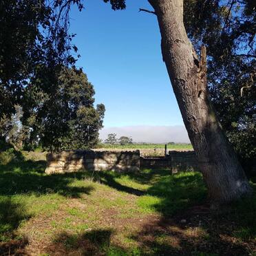 1. Overview / Oorsig