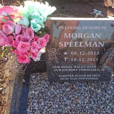 SPEELMAN Morgan 2013-2013