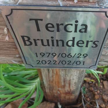BRUINDERS Tercia 1979-2022
