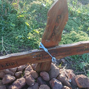 SAAIMAN Haybrin 2021-2021