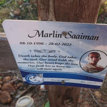 SAAIMAN Marlin 1996-2022