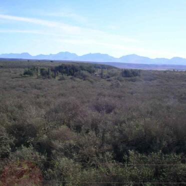 1. View on the farm, Melkhoutvallei cemetery