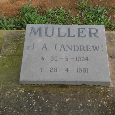 MÜLLER J.A. 1934-1991