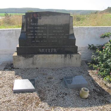 MULLER :: PIENAAR :: VAN LITSENBORGH