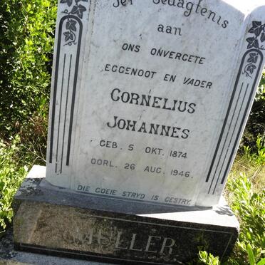 Western Cape, MOSSEL BAY district, Driefontein 243, Kleinberg farm cemetery