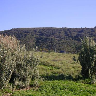 1. Overview