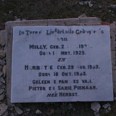 Western Cape, MURRAYSBURG district, Matjeshoek 121, Rooipoort, farm cemetery