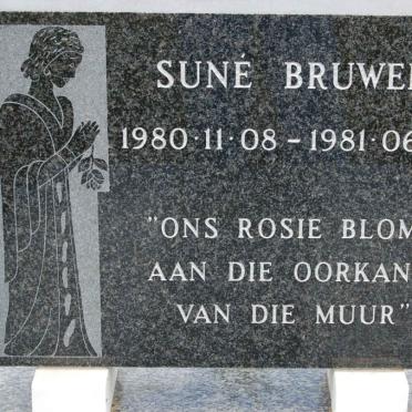 BRUWER Sune 1980-1981