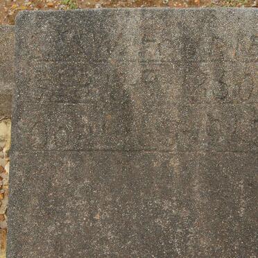 FOURIE S.W. 1850-19?5