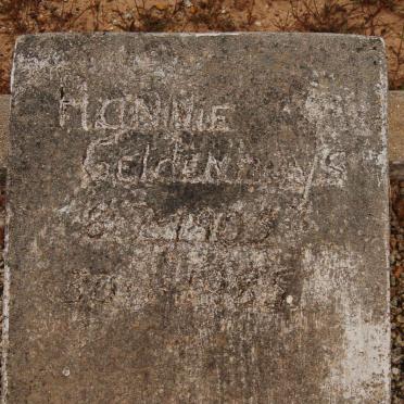 GELDENHUYS Hannie 1905-1985