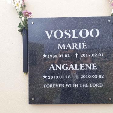 VOSLOO Marie 1988-2017 :: VOSLOO Angalene 2010-2010
