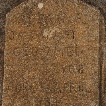 SWART J.A. 1908-1934