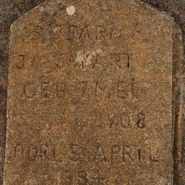SWART J.A. 1908-1934