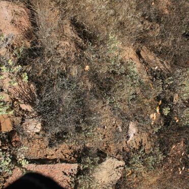 unknown grave