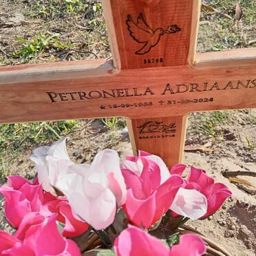 A - Surnames :: Vanne - A