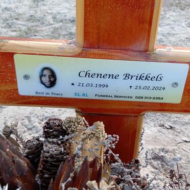 BRIKKELS Chenene 1994-2024