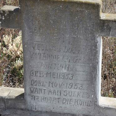 FORTUIN Dogter 1953-1953