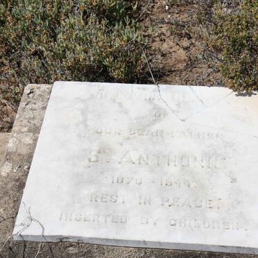 ANTHONIE S. 1870-1944