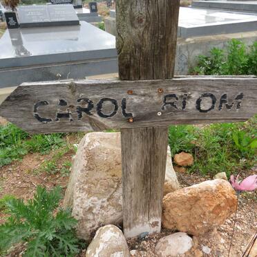 2. Unknown &amp; Illegible Graves