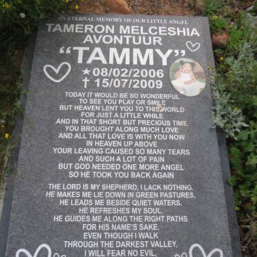 Av - Surnames starting with the letters Av