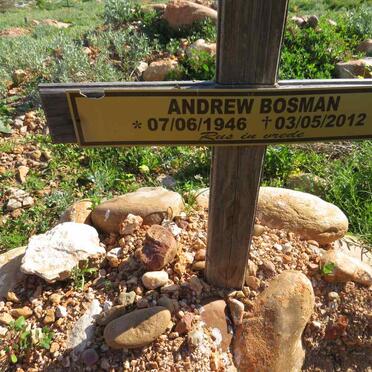 BOSMAN Andrew 1946-2012