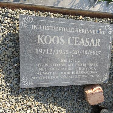 Ce - Surnames starting with the letters Ce