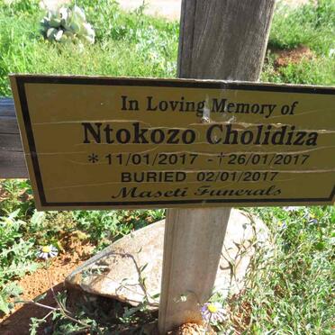 CHOLIDIZA Ntokozo 2017-2017