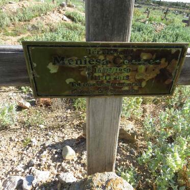 COETZEE Meniesa 1950-2013