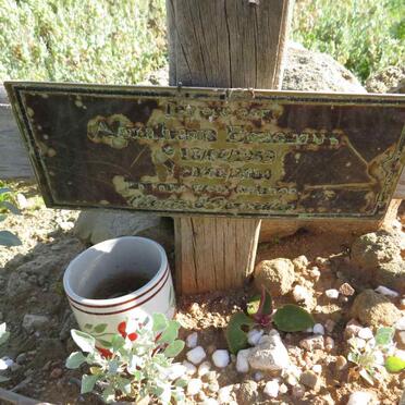 ERASMUS Abraham 1959-2014