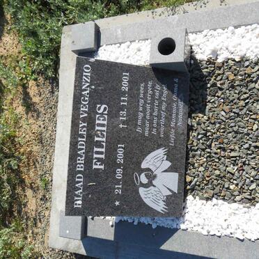 FILLIES Riaad Bradley Veganzio 2001-2001