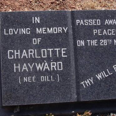 HAYWARD Charlotte nee DILL -1971