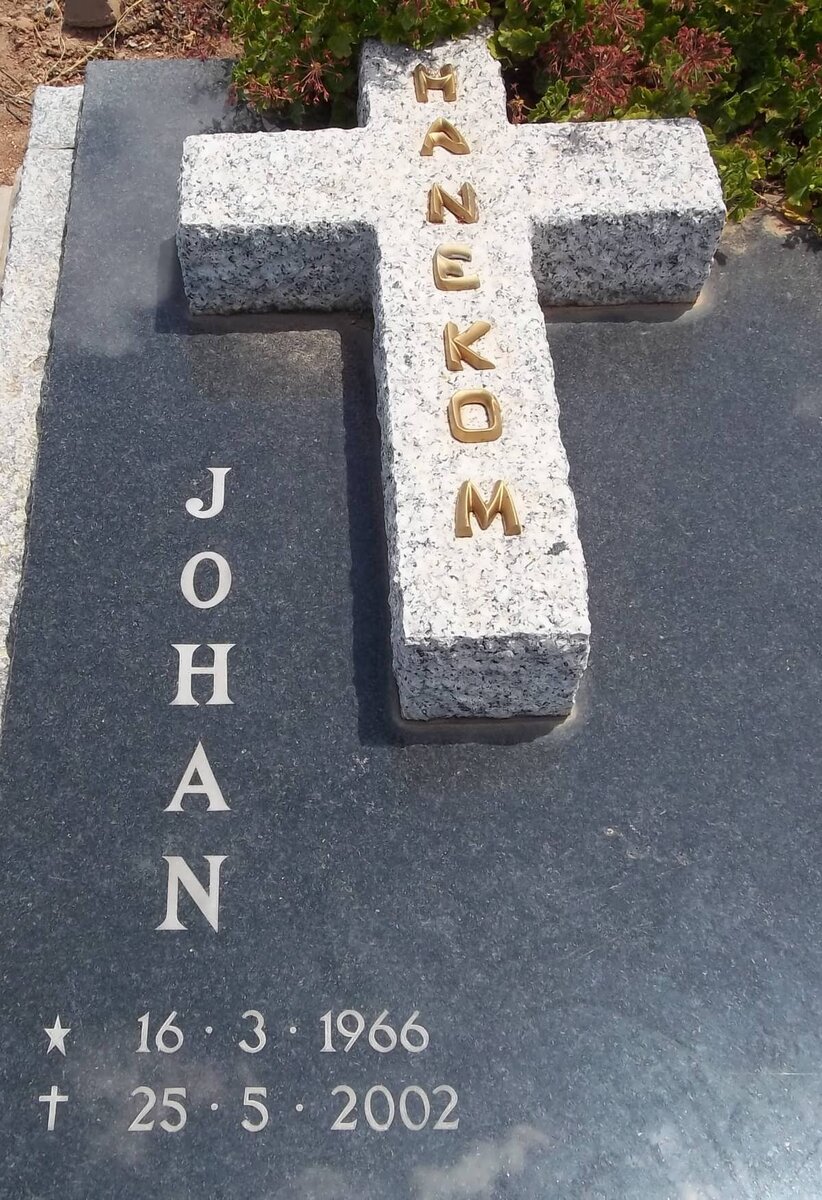 HANEKOM Johan 1966-2002