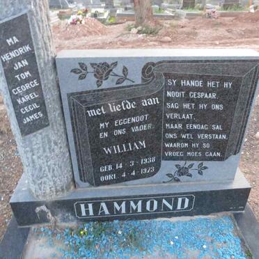 HAMMOND William 1938-1973