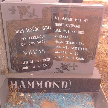 HAMMOND William 1938-1973
