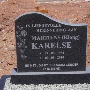 KARELSE Martiens 1954-2010