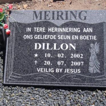 MEIRING Dillon 2002-2007